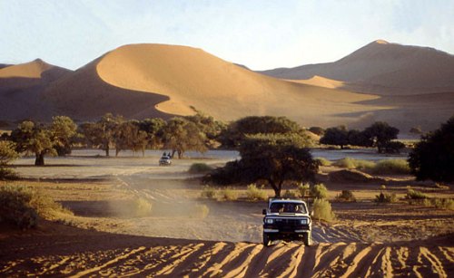 Namibia-etosha